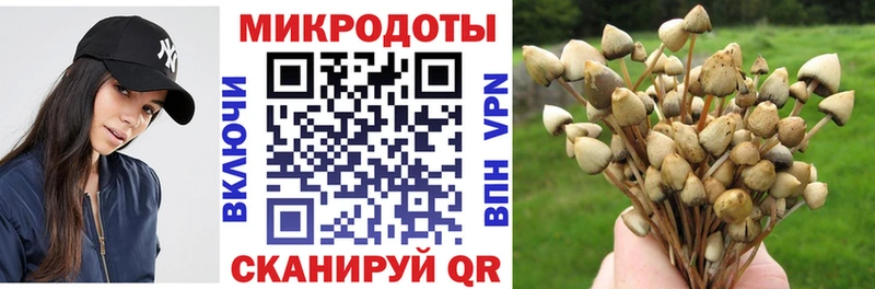 нарко площадка официальный сайт  Нестеровская  Галлюциногенные грибы Cubensis 